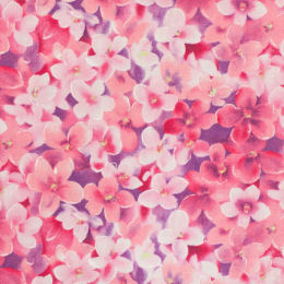 DC7843 Flowers, pink