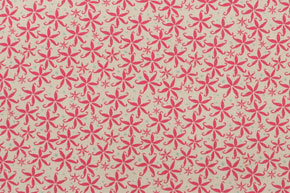 PWNW052 cream