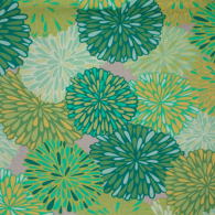 Wrenly Bloom, citrus