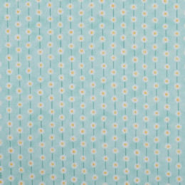 DC9088 aqua