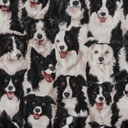 100% Cotton Fabric Makower Farm Border Collie Dogs Puppies Puppy Packed Animals 