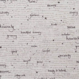 16913-11, parchment