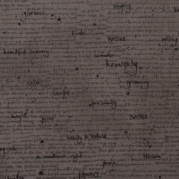 16913-15, graphite