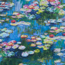 17078-246 Waterlilies