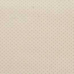 10075-L1Seed, light cream