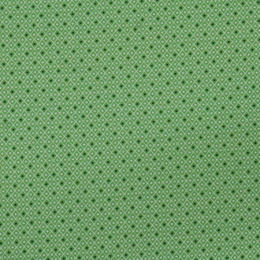 21817-15 green