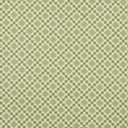5265-15 Fern