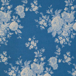 100674 Carol, cornflower