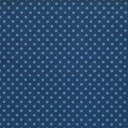 110169 Dorothy, night